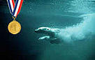  / &copy;: WWF-Canon / Terry Domico