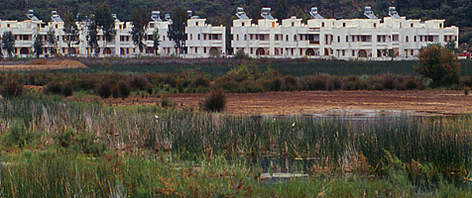 Tourist resort on a very fertile swamp. Fethiyé, Turkey  rel=