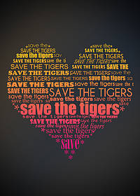 Tiger Posters / ©: To Be Announced / Good 50x70 / ©: To Be Announced / Good 50x70