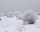 Some cities in Central Asia were left without electricity and heating for weeks during this harsh winter