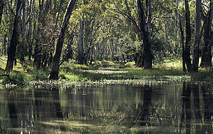  / &copy;: WWF / Frédy MERCAY