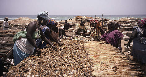 Fish market / ©: WWF-Canon / WORLD TELEVISION rel=