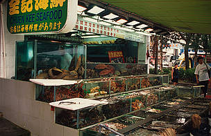 Live coral reef species for sale as seafood, Hong Kong. / ©: WWF-Canon / Meg Gawler / ©: WWF-Canon / Meg Gawler