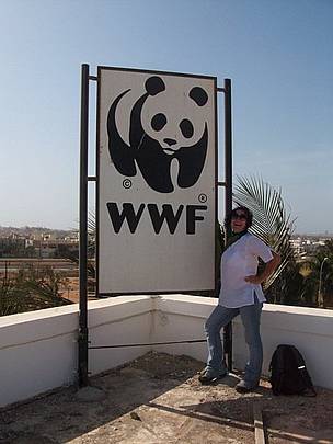 On the rooftop at WWF Dakar-arrived at last........and very excited! / ©: WWF / Sian Whalley / ©: WWF / Sian Whalley