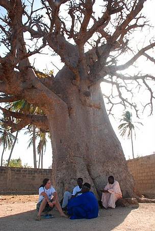 In Senegal the Baobab tree symbolises wisdom, unity and collective thinking. In a meeting with some ... / ©: WWF / Sian Whalley / ©: WWF / Sian Whalley