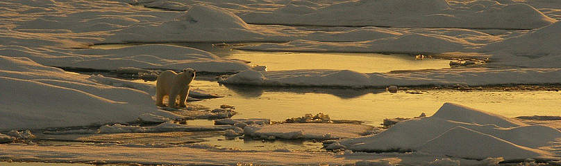  / &copy;: WWF / Flickr user NOAA Photo Library, Dr Pablo Clemente-Colon 
