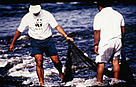  / &copy;: WWF-Canon / Juan PRATGINESTOS