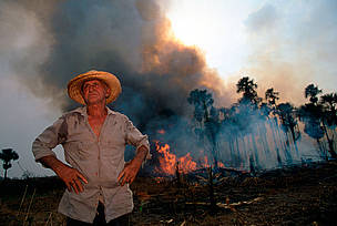  / &copy;: WWF-Canon / Nigel DICKINSON 