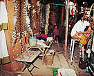 Display of large cat and snake skins and ivory for sale at a stall in Tachilek market, Burma, across the border from Thailand.