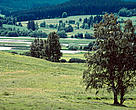 The Czech proposal covers some 20% of the country’s area.