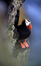  / &copy;: WWF-Canon / Kevin Schaffer