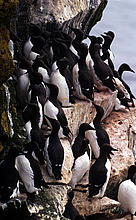 / &copy;: WWF_Canon/Kevin Schaffer