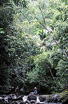 Hikers crossing the Rio Taco on a trail built for ecotourism in the Alejandro de Humboldt National ... / &copy;: WWF-Canon / Michel ROGGO