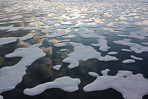 Sea ice in the Beaufort Sea.