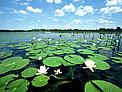  / &copy;: WWF-Austria archive