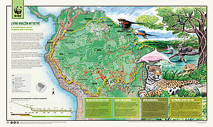 Conoce más sobre las oportunidades y amenazas en la Amazonía / ©: WWF / ©: WWF