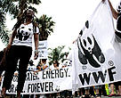 “Today’s march was an amazing moment of solidarity that showed people want real action from their governments on climate change – not just talk. The will of the people is strong. The problem is that the will of our leaders is weak" Tasneem Essop. 