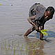 Toujours le sourire, même en travaillant (riziculture) © WWF / Mylène Francoeur