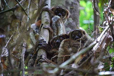  / &copy;: WWF / Martina Lippuner