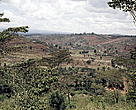 Deforested outskirts of the town of Thika, Kenya. Wangari Maathai has been continuously fighting deforestation in Kenya.