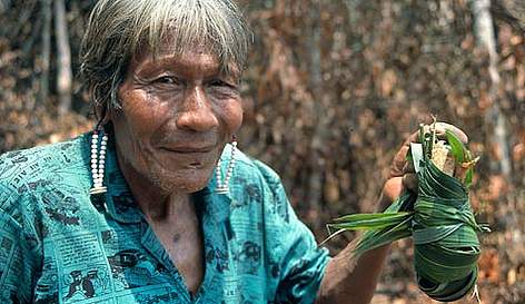 Beptopoop taking medicinal plants used to treat headache Concenciao, Amazonia Brazil / ©: WWF-Canon / Mauri RAUTKARI rel=
