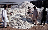 Cotton factory, Faisalabad, Pakistan. / ©: WWF-Canon / Mauri RAUTKARI Cotton factory, Faisalabad, Pakistan. / ©: WWF-Canon / Mauri RAUTKARI