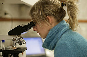 Jenny Bytingsvik, PhD fellow from the Norwegian University of Science and Technology, studies a sample of polar bear tissue to monitor health.