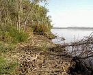 The marks on the ground show that this place on the Amudarya river is popular with the deer