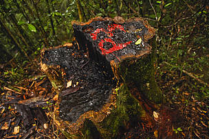 / &copy;: WWF / Chris Maluszynski