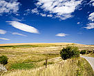 a yellow field, a road and a beautiful sky