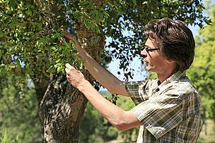 Luis N. Silva, WWF MedPO Cork Oak Landscapes Coordinator in Portugal / ©: WWF Mediterranean / Rui CUNHA / ©: WWF Mediterranean / Rui CUNHA