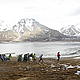 The group takes in the scenery on Svalbard on Day Two. © WWF