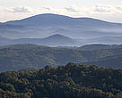 tree-covered mountains in the distance