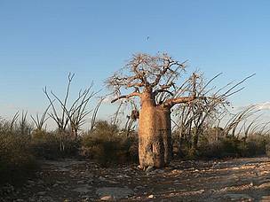  / &copy;: WWF / Shirley Jaarsma