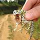 A chameleon that caught our eye on the way down from Madiorano © WWF / Jasmin Sander