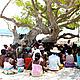 A reunion under the great tamarind tree © WWF / Markos Zangas Tsakiris