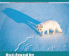 Arctic Bulletin No.1/04