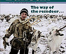 Arctic Bulletin 01.07