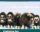 Arctic Bulletin