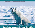 Arctic Bulletin No.3/02