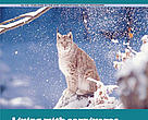 Arctic Bulletin No.4/03