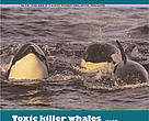 Arctic Bulletin 04.05