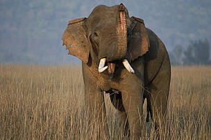 Securing biodiversity and ensuring its sustainable use.