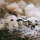Many fires in the Amazon are often started to clear land for cattle and other development activities. Aerial shot of a forest fire in Acre State, Brazil.