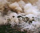Many fires in the Amazon are often started to clear land for cattle and other development activities. Aerial shot of a forest fire in Acre State, Brazil.