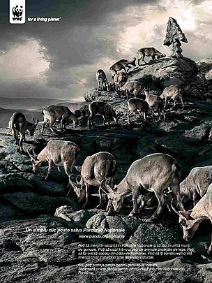  / &copy;: Ogilvy & Mather Bucharest