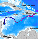 Adamanay / ©: © seaturtle.org Maptool. 2002. Seaturtle.org Inc., http://www.seaturtle.org/maptool/ (March 2009) / ©: © seaturtle.org Maptool. 2002. Seaturtle.org Inc., http://www.seaturtle.org/maptool/ (March 2009)