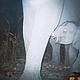 Adult elephant and calf are photographed by a camera trap. © WWF Greater Mekong