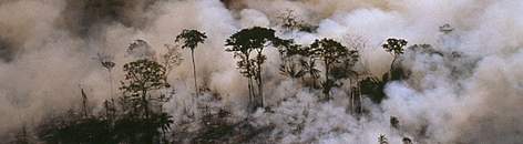 Aerial shot of Acre State showing forest fire, Amazonia, Brazil / ©: Mark Edwards / WWF-Canon rel=