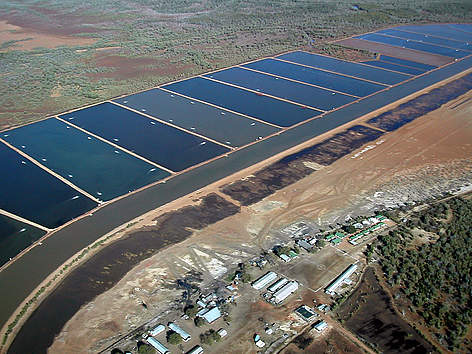 Aerial view of shrimps farms, developed by AQUAMEN PECHE SA , surrounded by mangrove forests. Belo ... / ©: WWF Madagascar - WWF Canon rel=